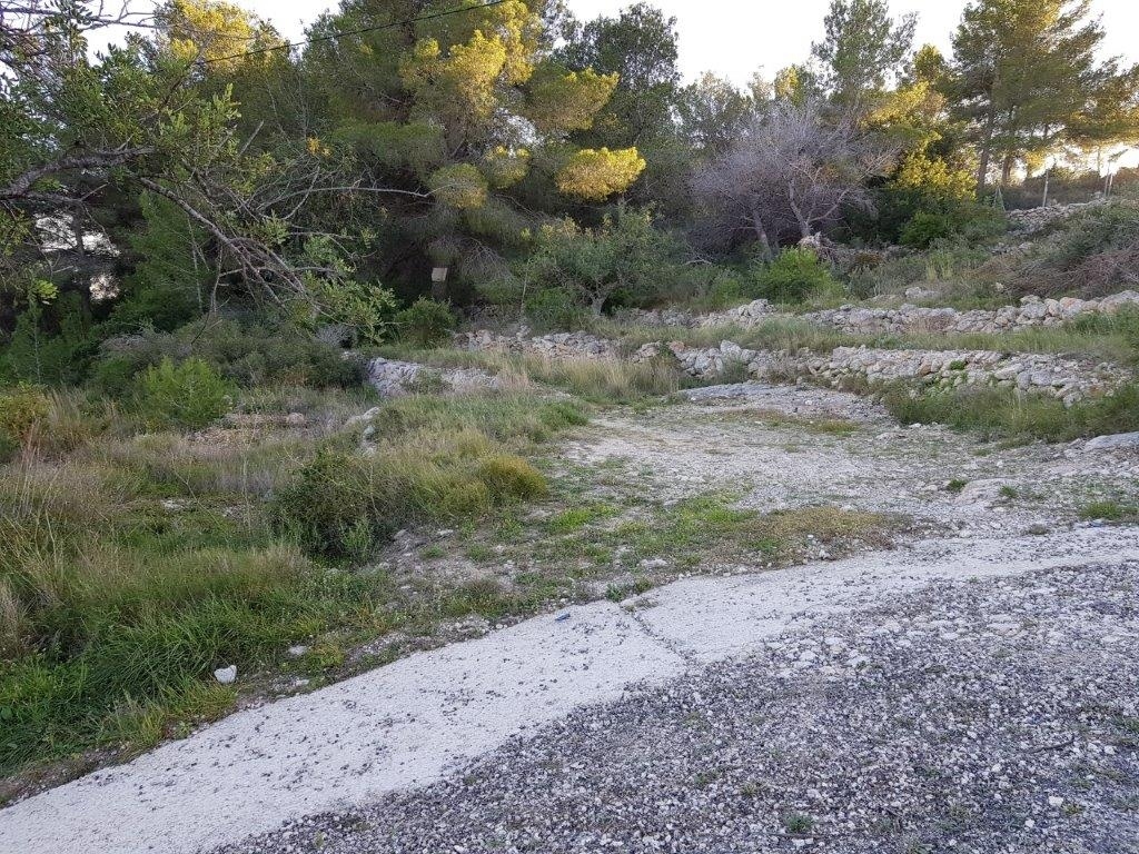 plot in Teulada