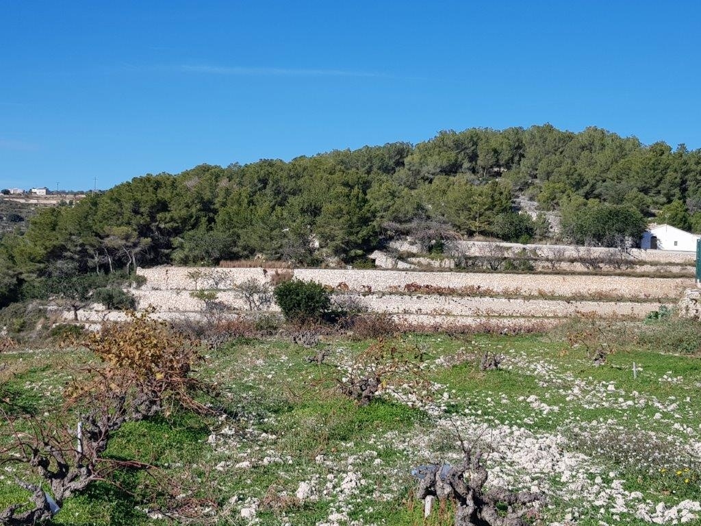 plot in Teulada