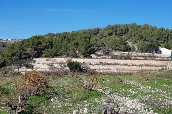 plot in Teulada