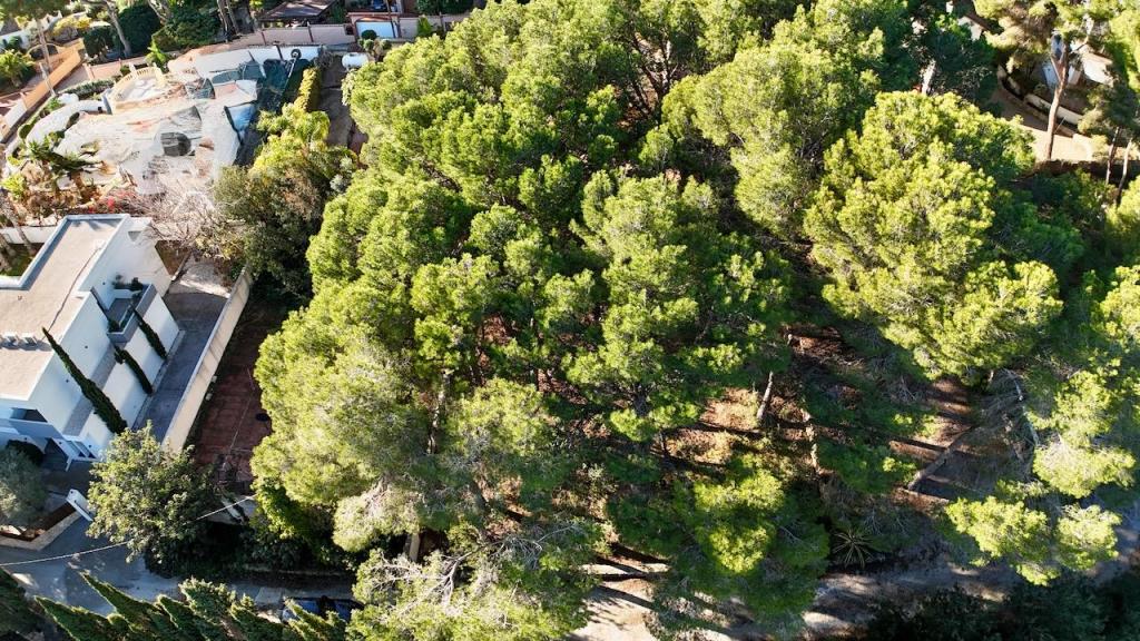 plots of land in Moraira