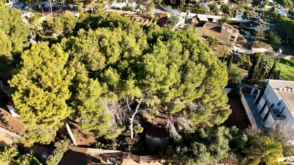 plots of land in Moraira