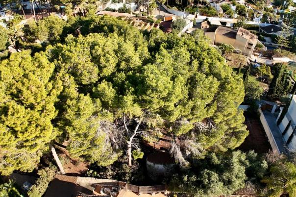 plots of land in Moraira