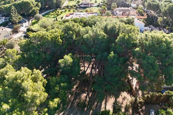 plots of land in Moraira