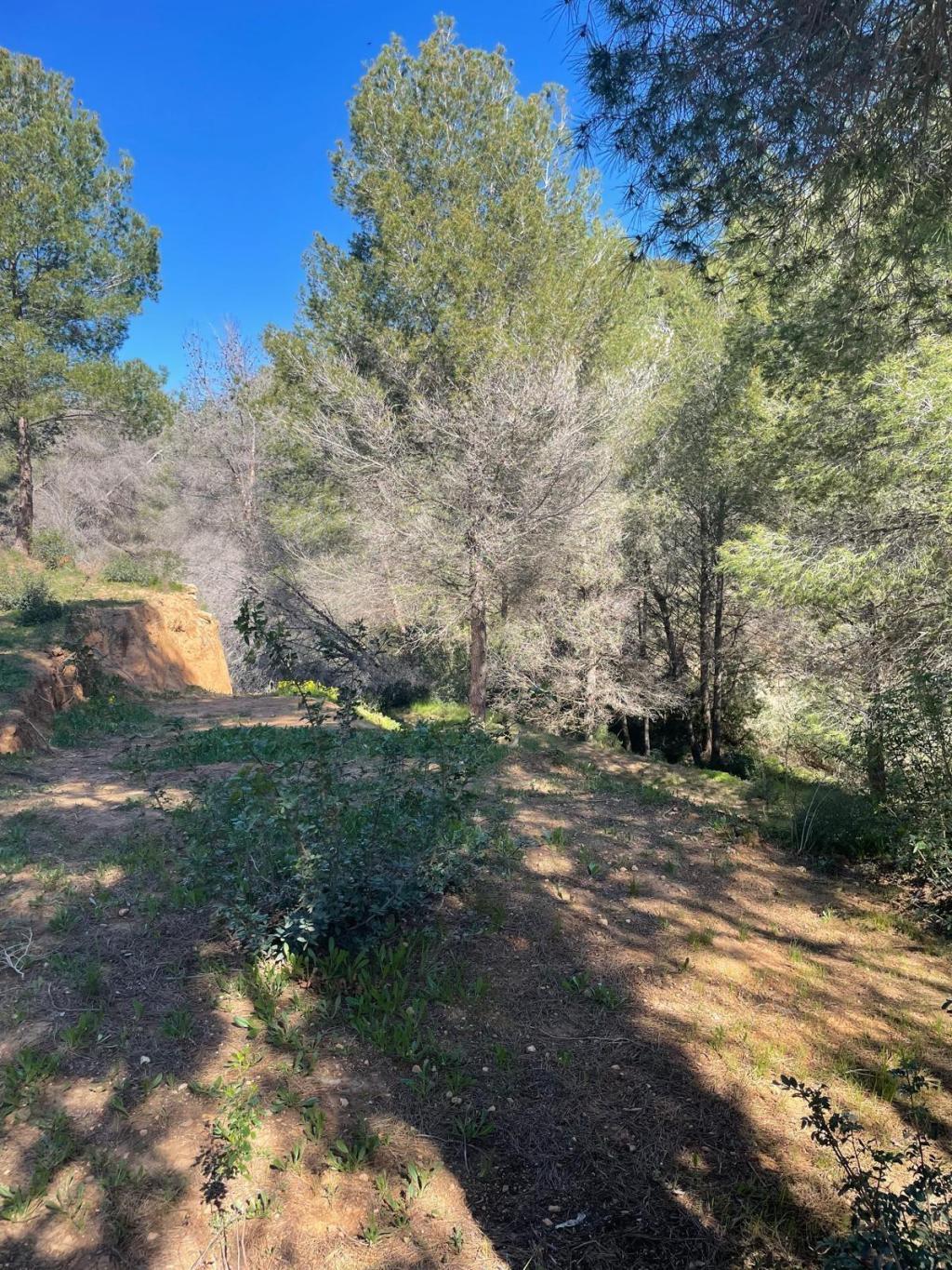 plots of land in Benissa