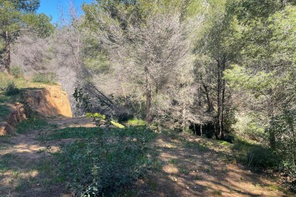 plots of land in Benissa