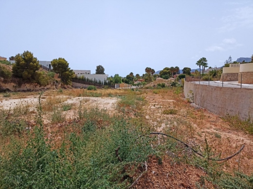 plot in Benissa