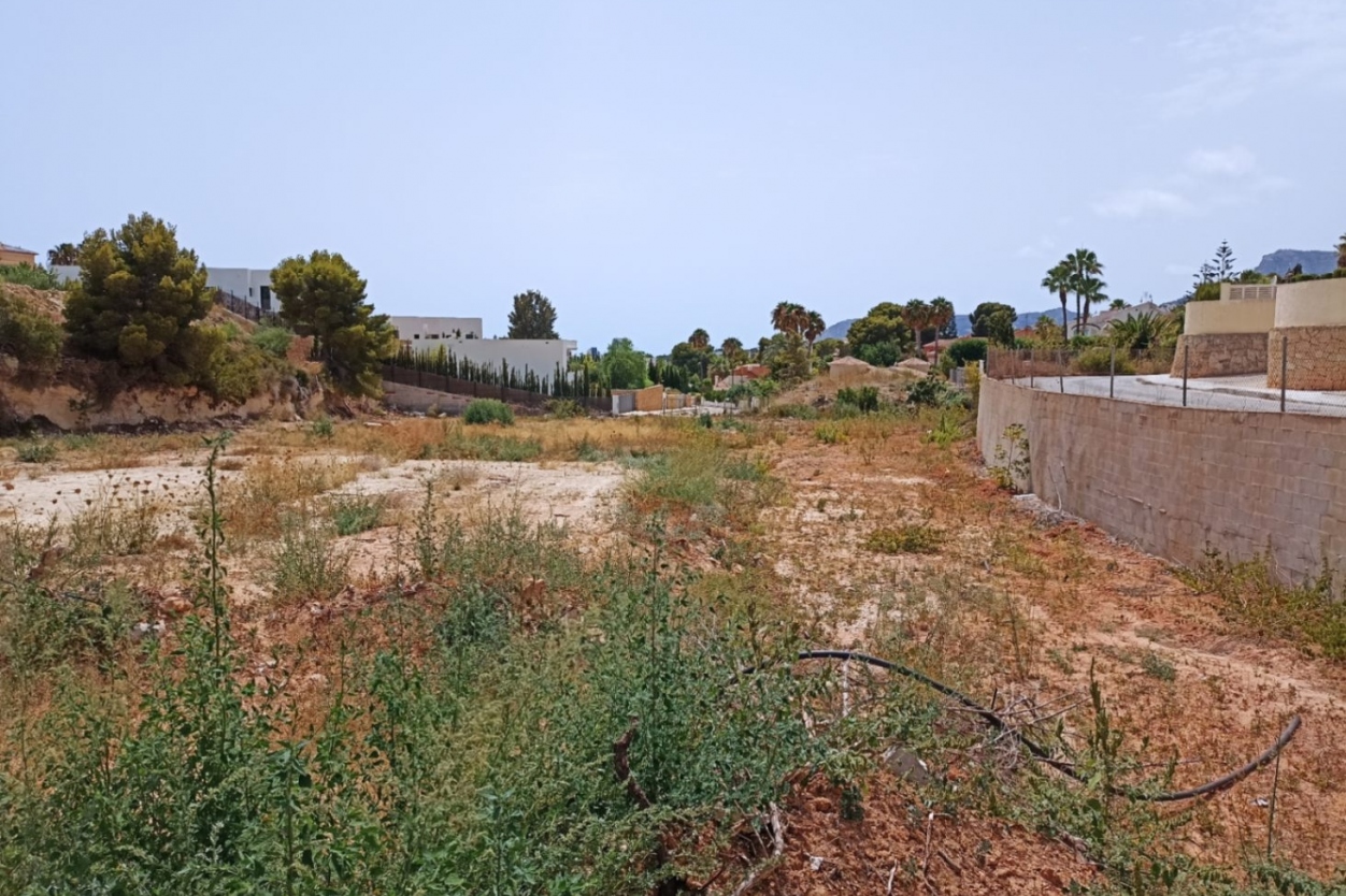 plot in Benissa
