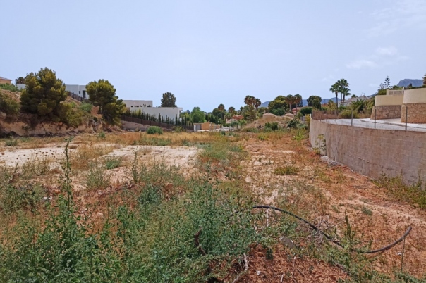 plot in Benissa