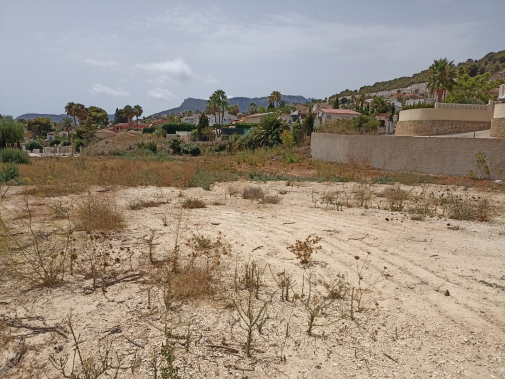 plot in Benissa