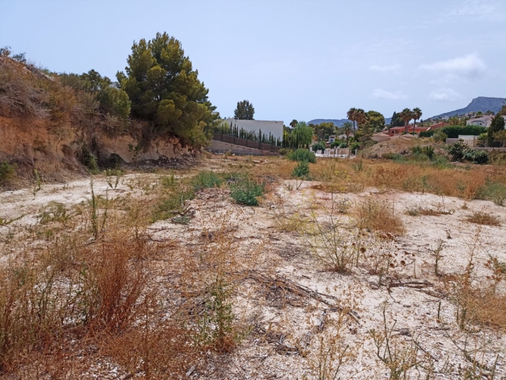 plot in Benissa