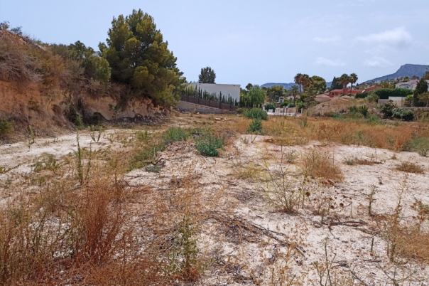 plot in Benissa