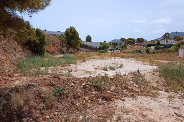 plot in Benissa