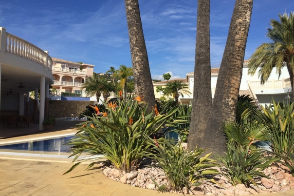 1 bed apartment in Benissa