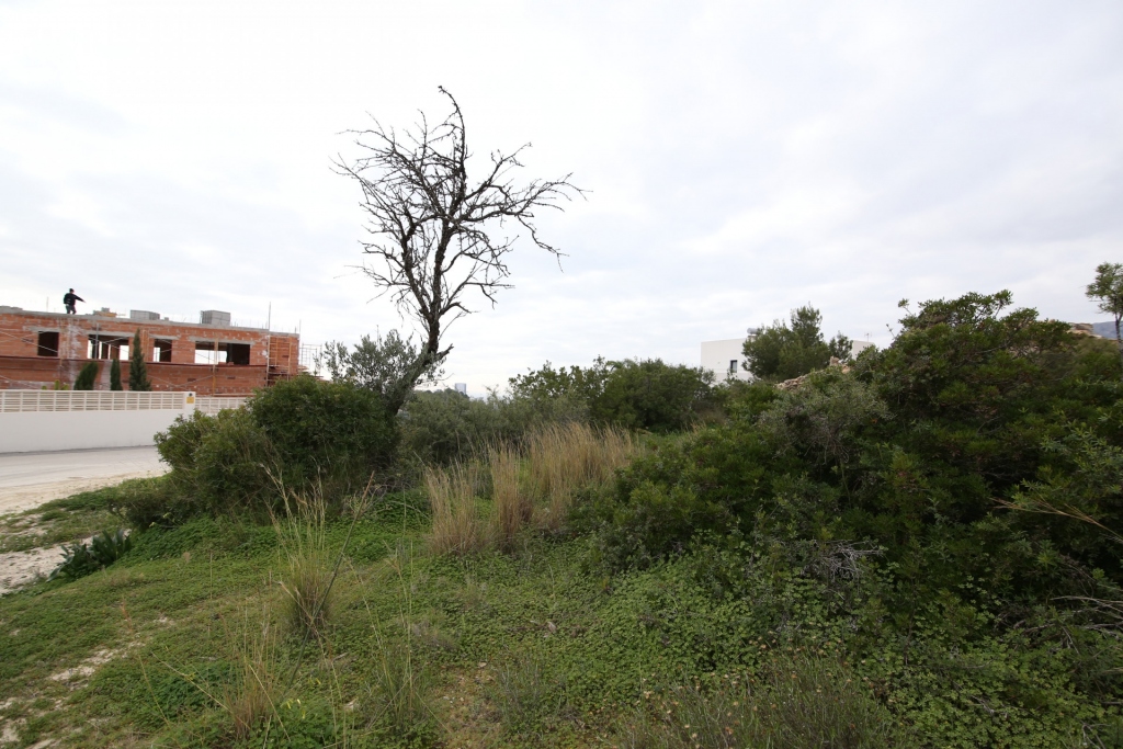 plot in Calp