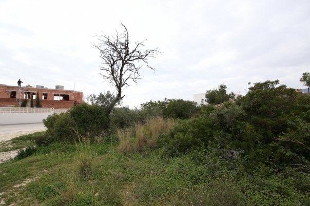 plot in Calp