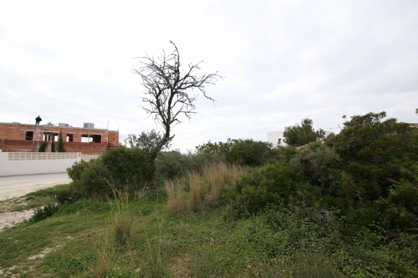 plot in Calp