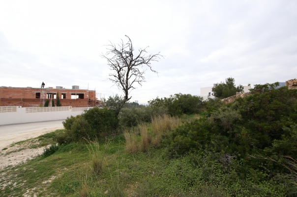 plot in Calp