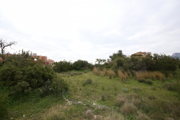 plot in Calp