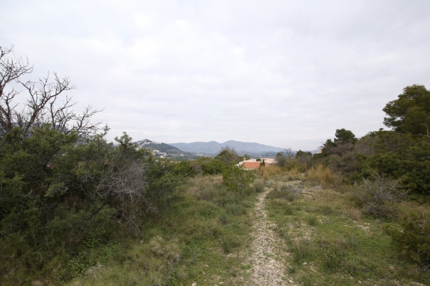 plot in Calp