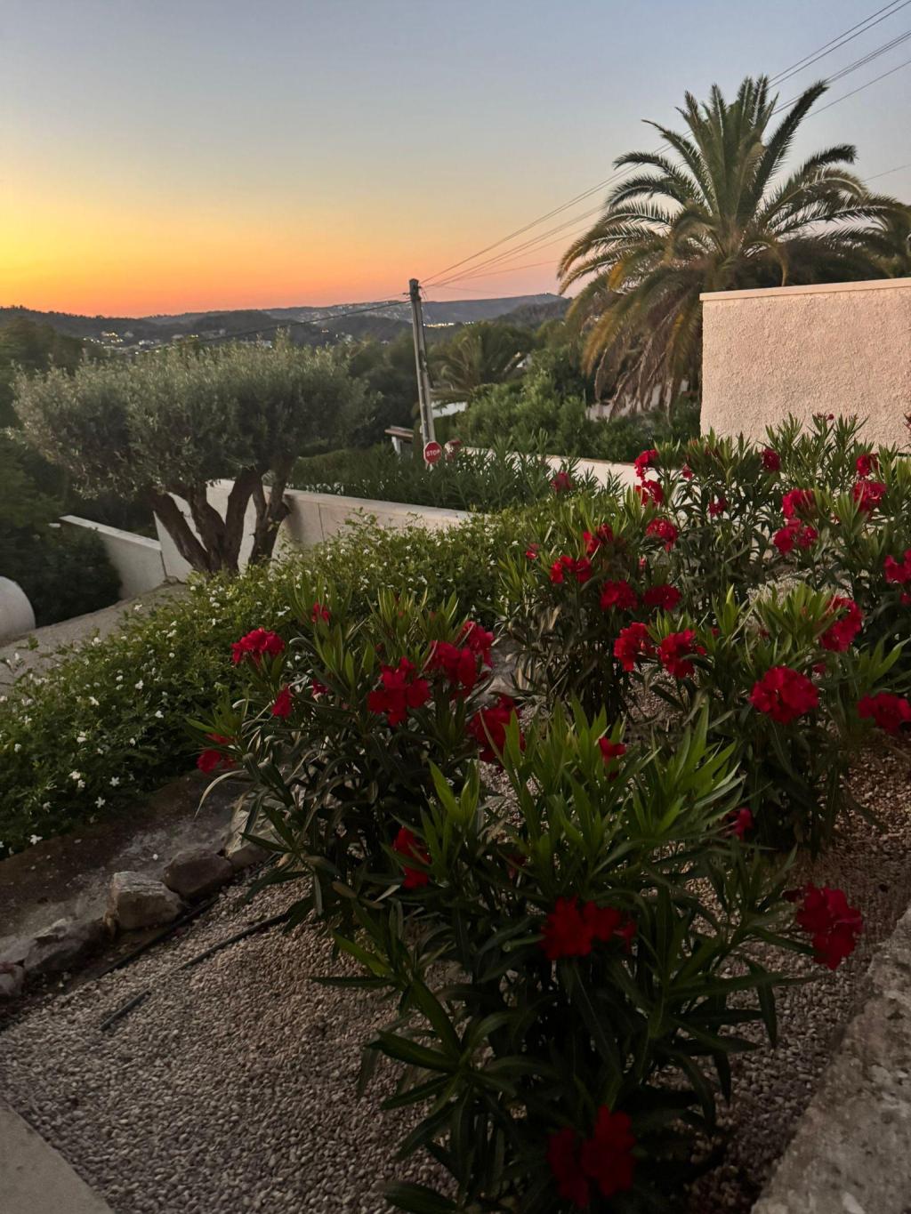 5 bed villa in Javea