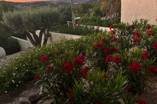 5 bed villa in Javea