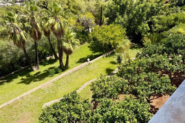 5 bed villas in Javea