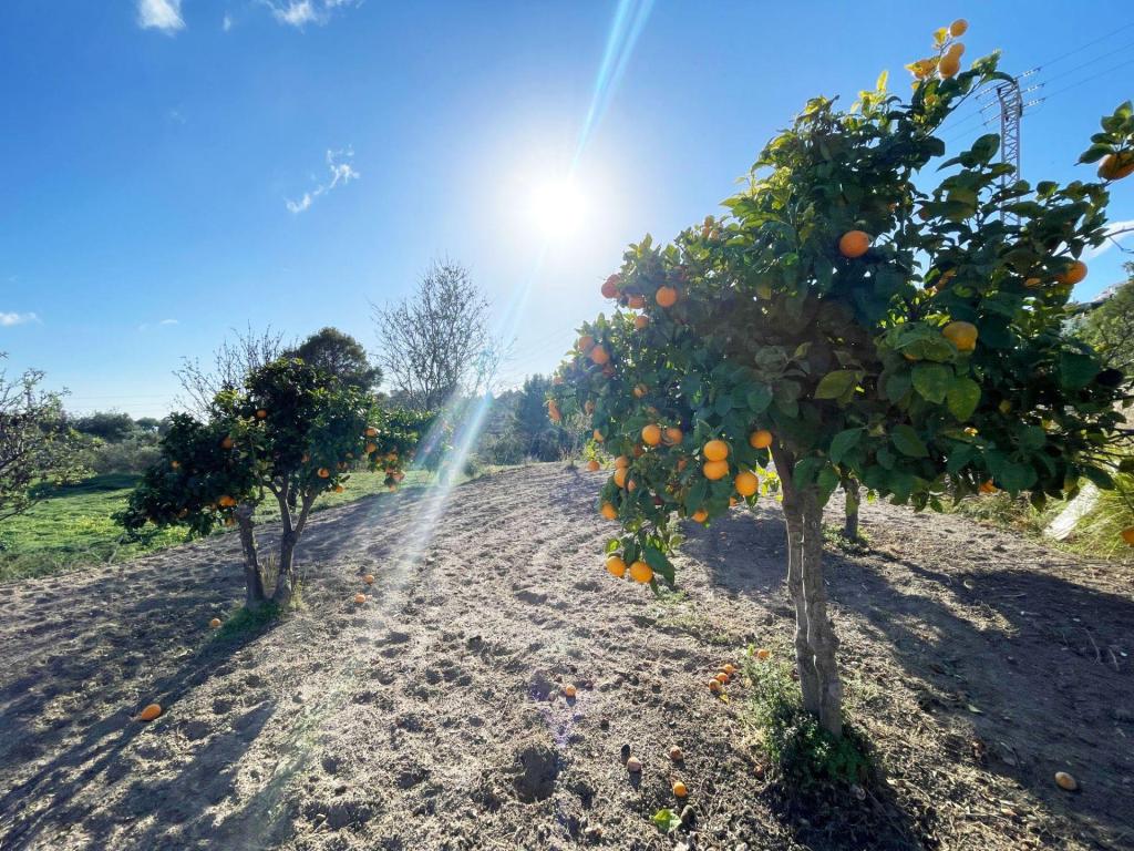 3 bed casa / chalet in Calpe