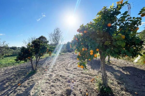 3 bed casa / chalet in Calpe