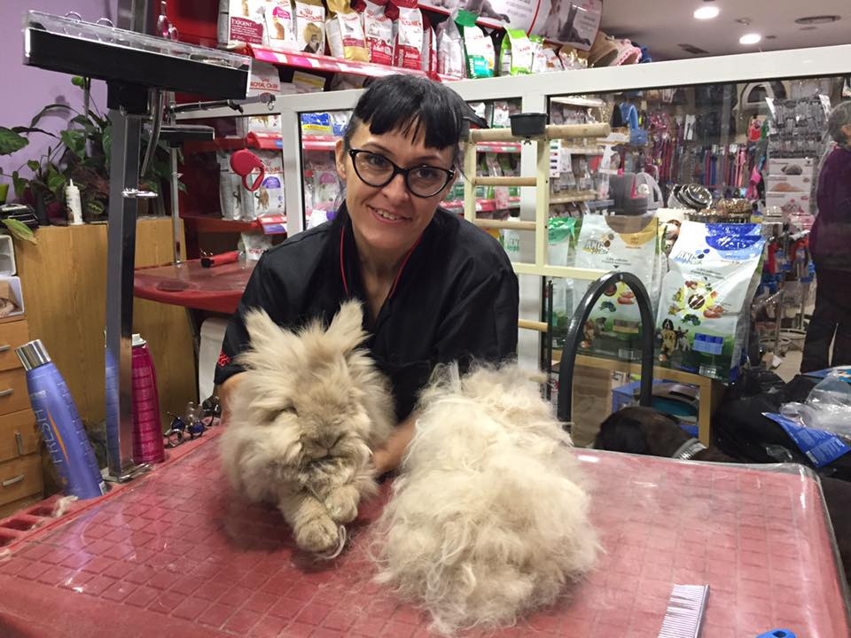 Mr Dog Pet Grooming Salon & Shop