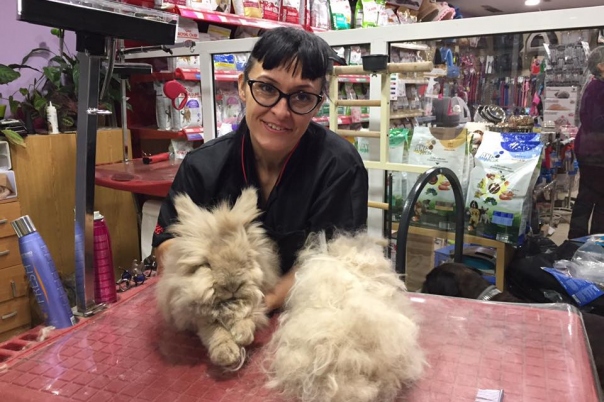 Mr Dog Pet Grooming Salon & Shop