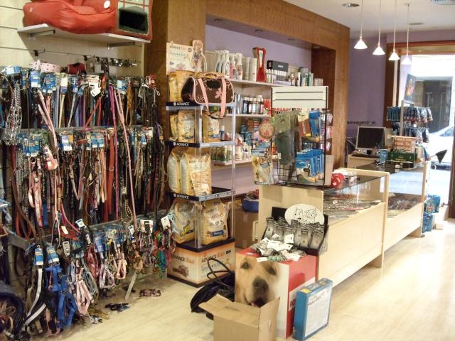 Mr Dog Pet Grooming Salon & Shop