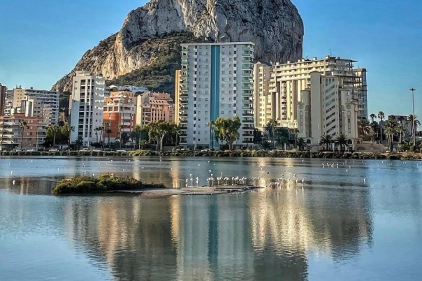 Visiting Las Salinas de Calpe - Salt Flats of Calpe
