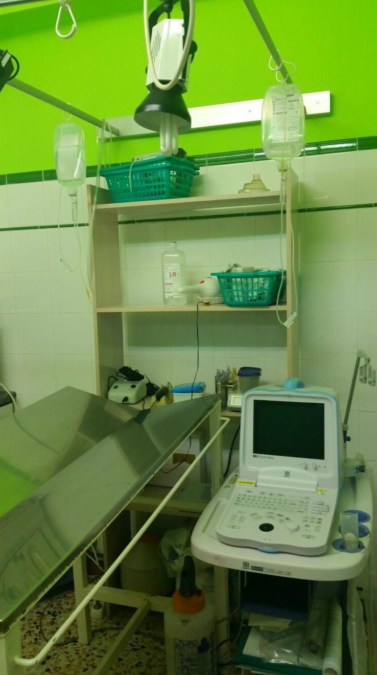 Centro Veterinario Ifach