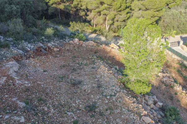 plot in Pego
