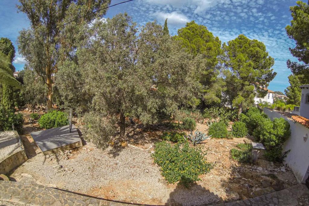 6 bed villa in Denia