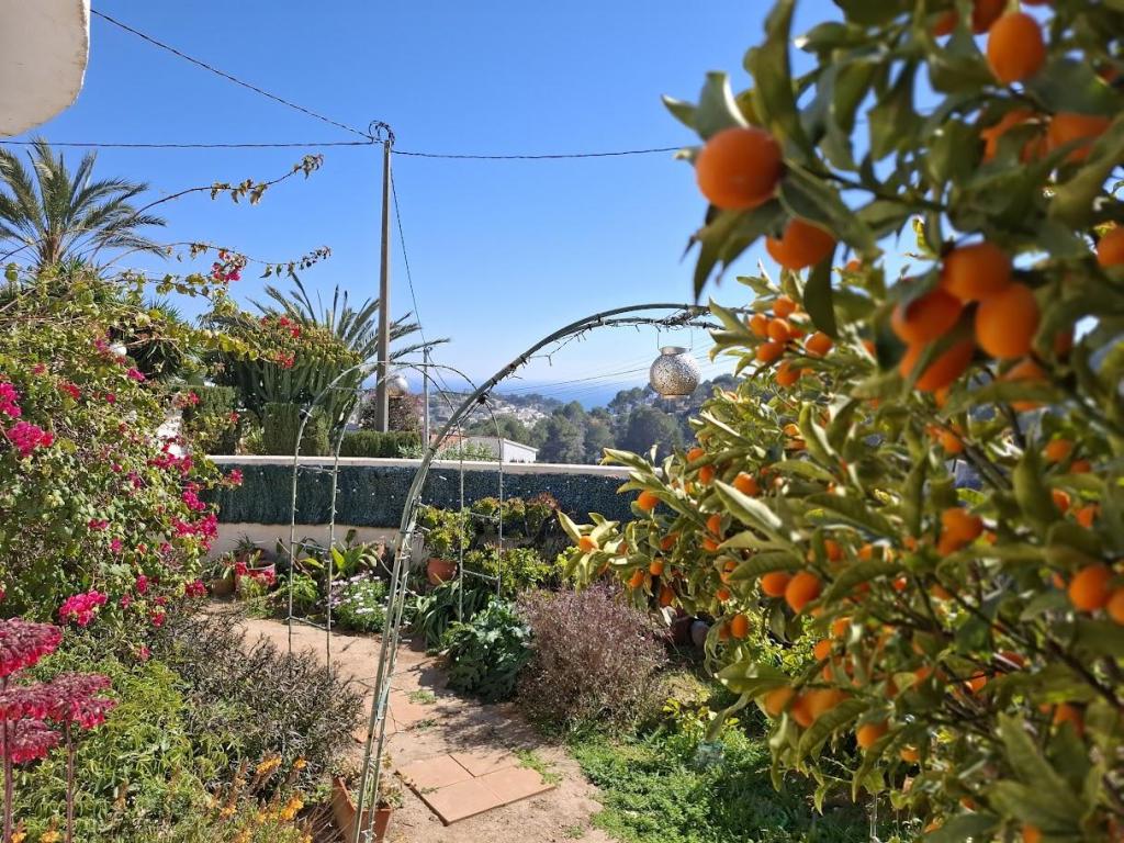 5 bed villas in Benissa