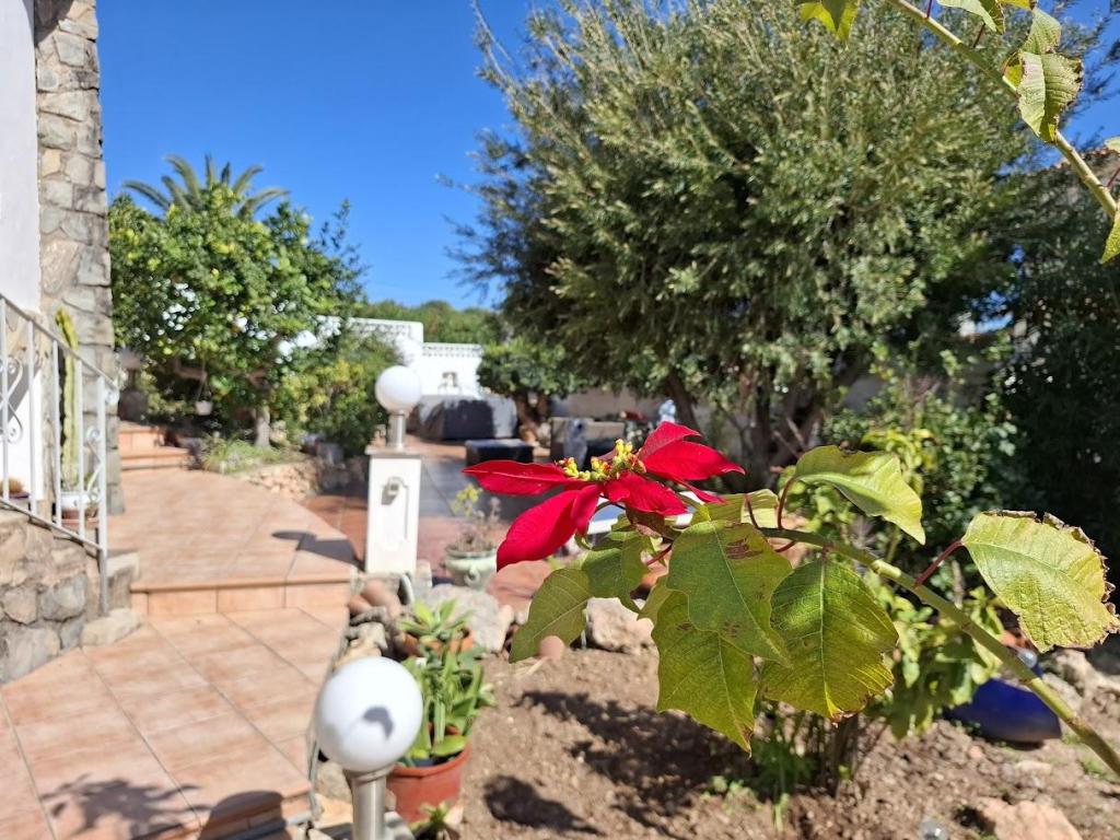 5 bed villas in Benissa