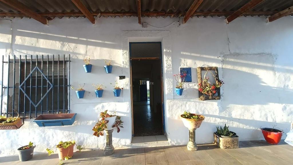 3 bed country house in Crevillent