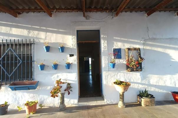 3 bed country house in Crevillent