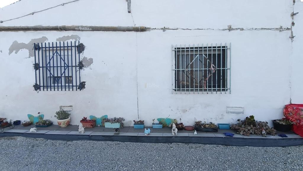 3 bed country house in Crevillent