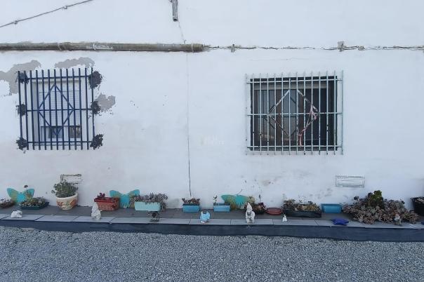 3 bed country house in Crevillent