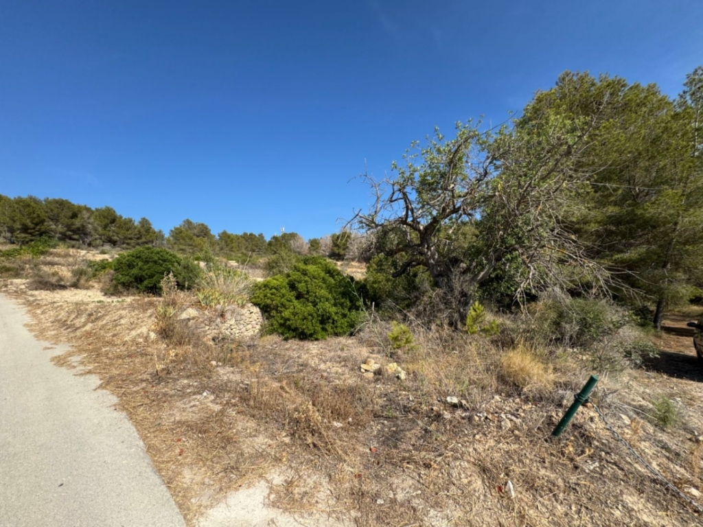 plot in Benissa