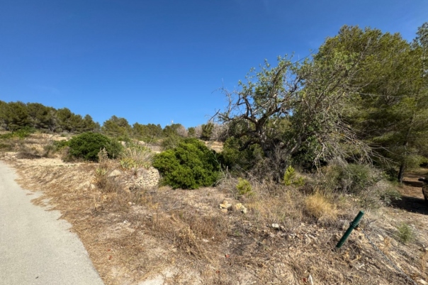 plot in Benissa
