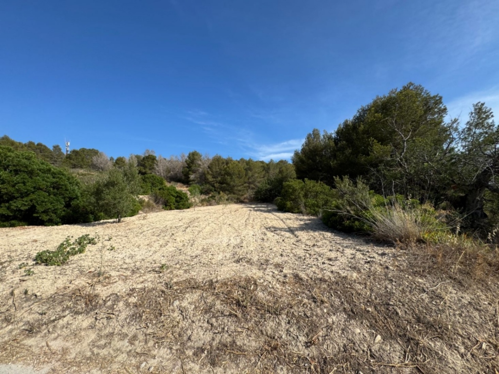 plot in Benissa