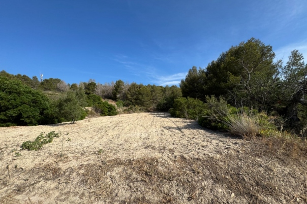 plot in Benissa