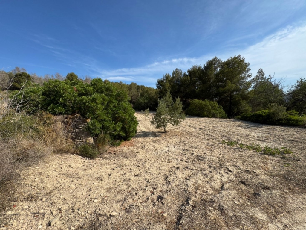 plot in Benissa