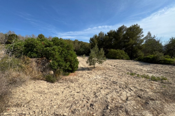 plot in Benissa