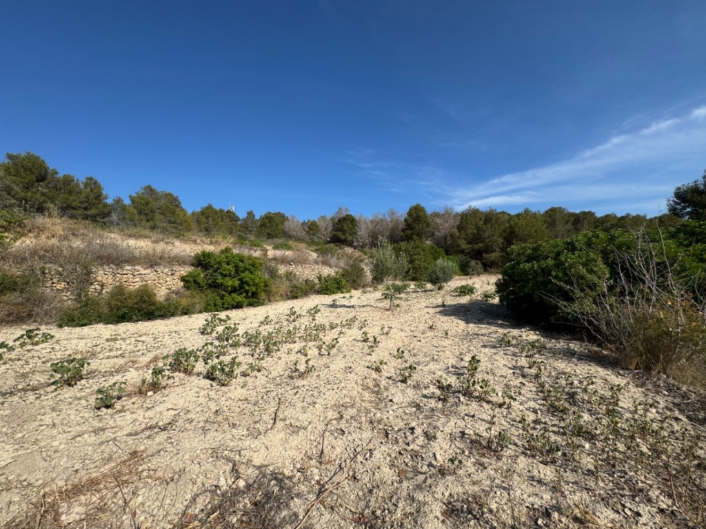 plot in Benissa