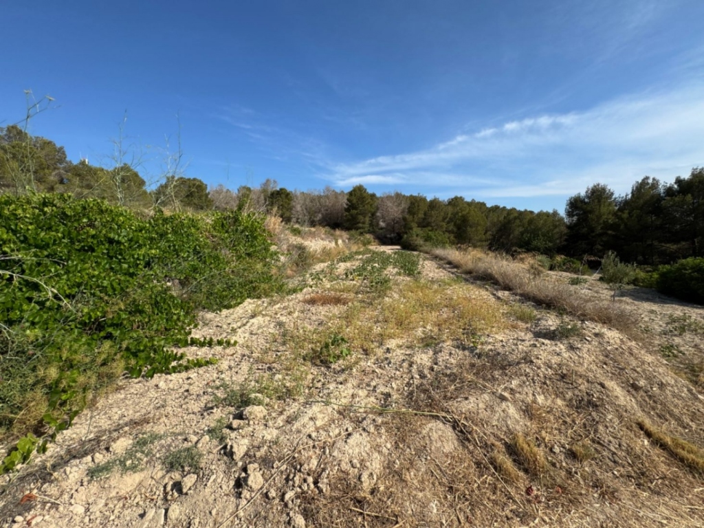 plot in Benissa