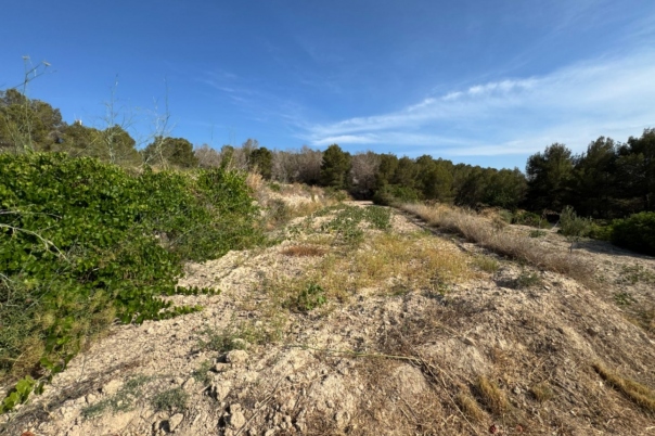 plot in Benissa